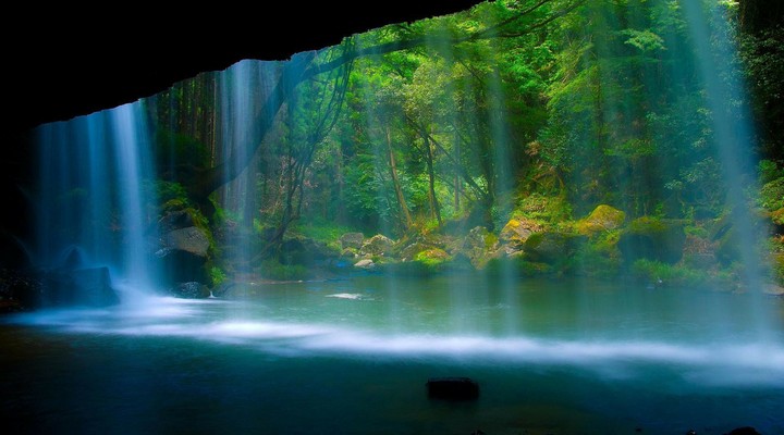 full nature