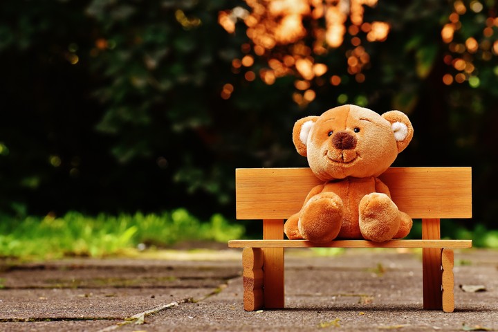 Teddy Bear