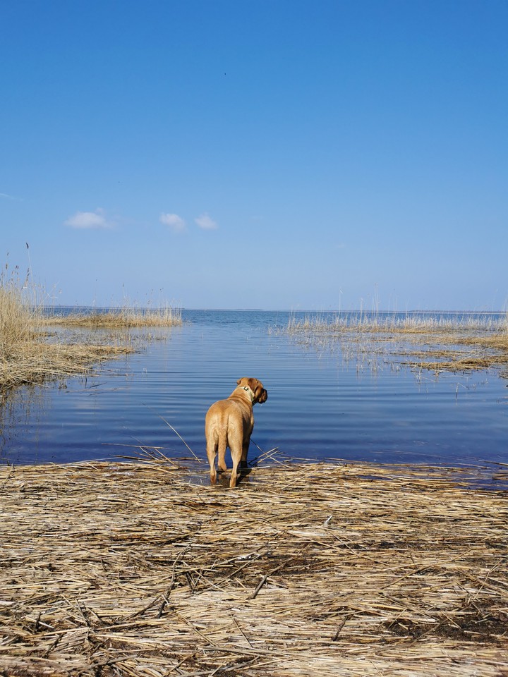 Ostsee