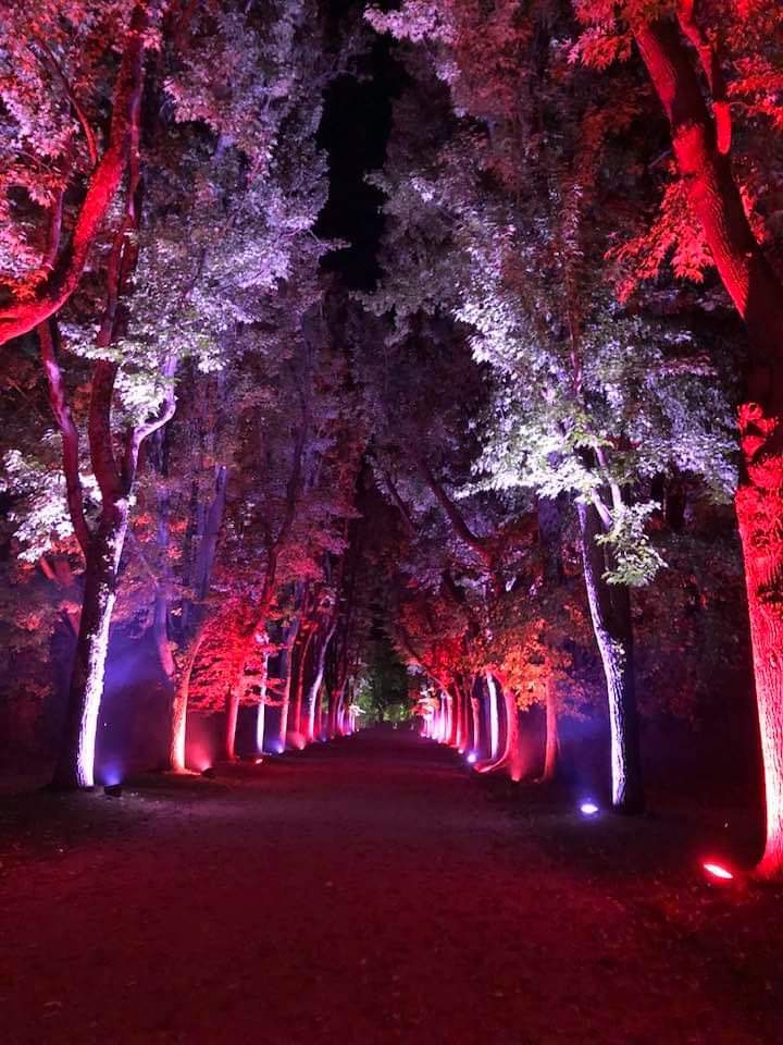 serralves