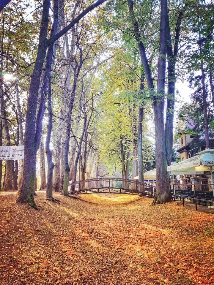 Autumn