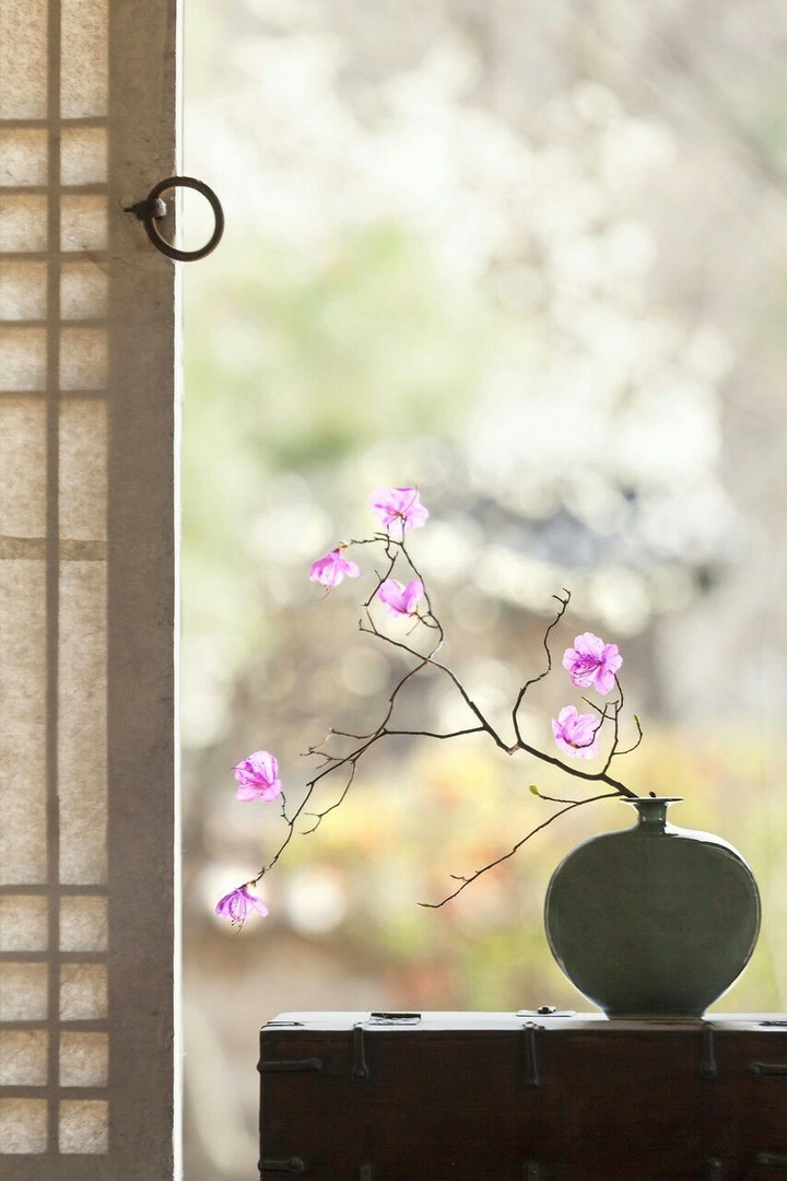 Flower Pot