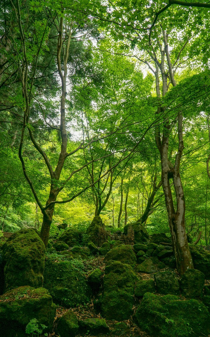 Awesome nature
