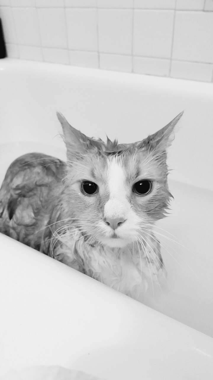 Bathtime