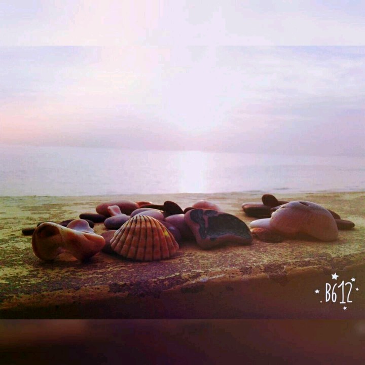 sea shell at sunset