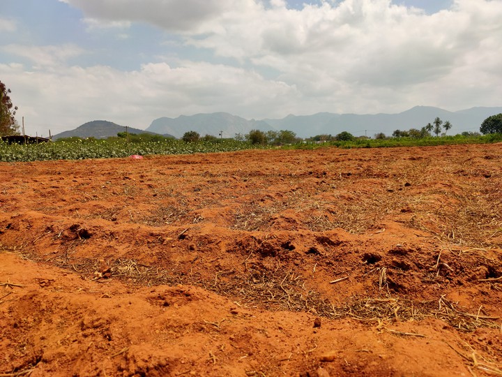 Empty space of agriculture