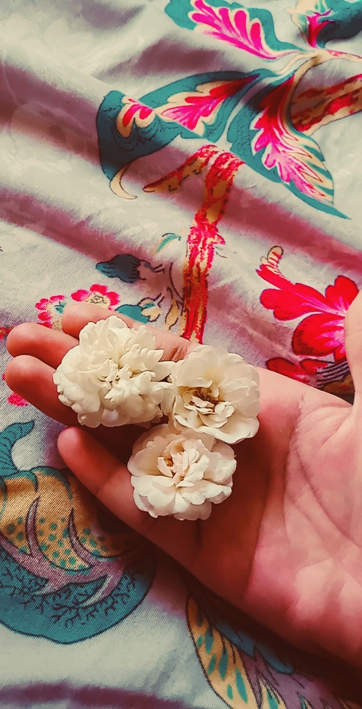 Roses