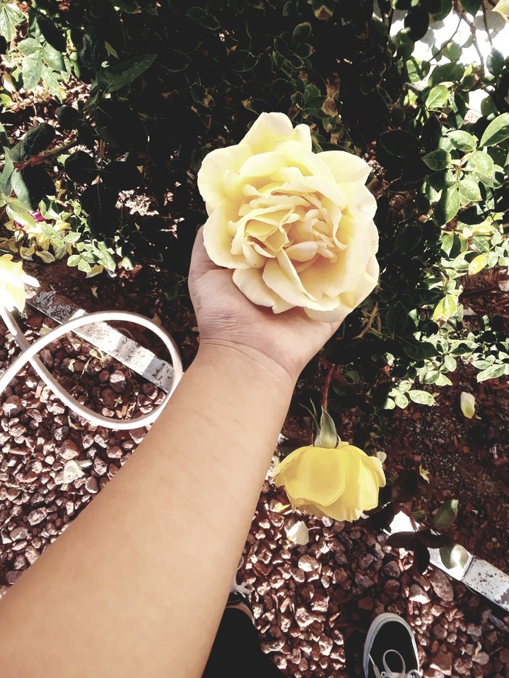 how pretty