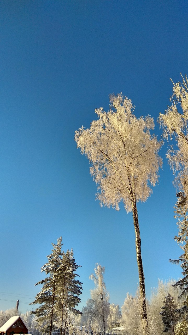 зима