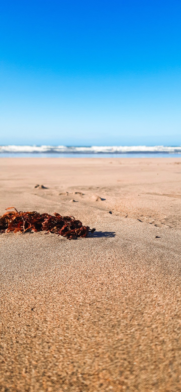 day on beach