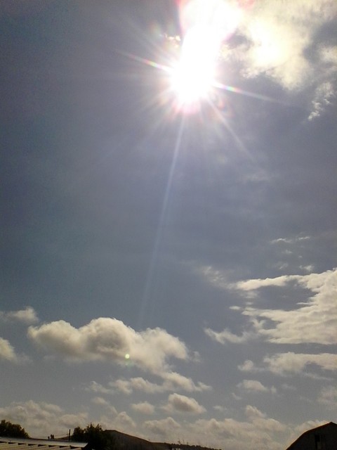 tapety wind, sunlight