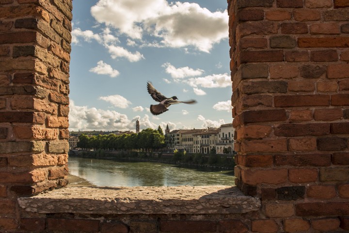 Verona