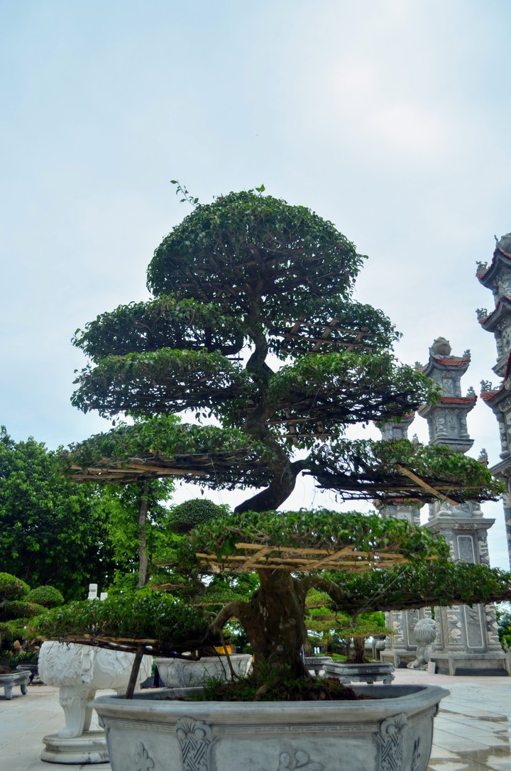 Danang vietnam