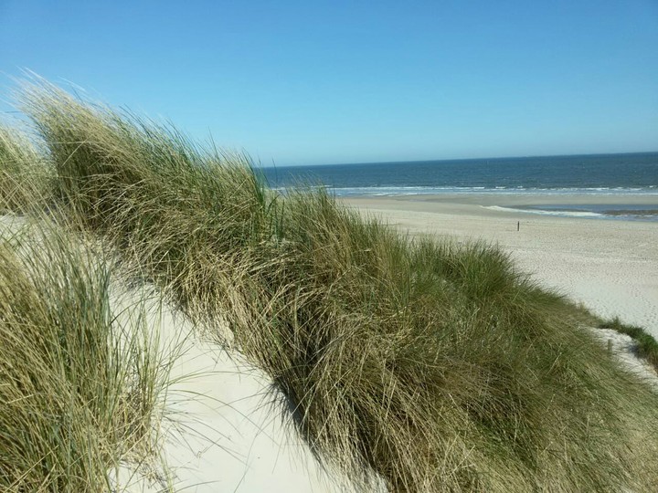Dünen am Meer
