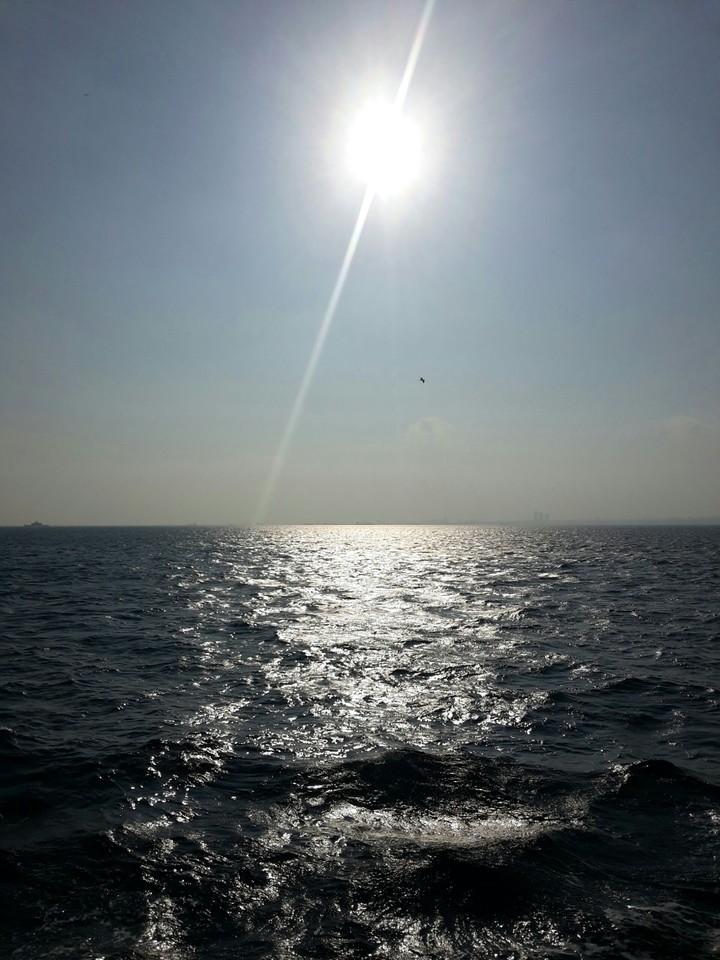 sea