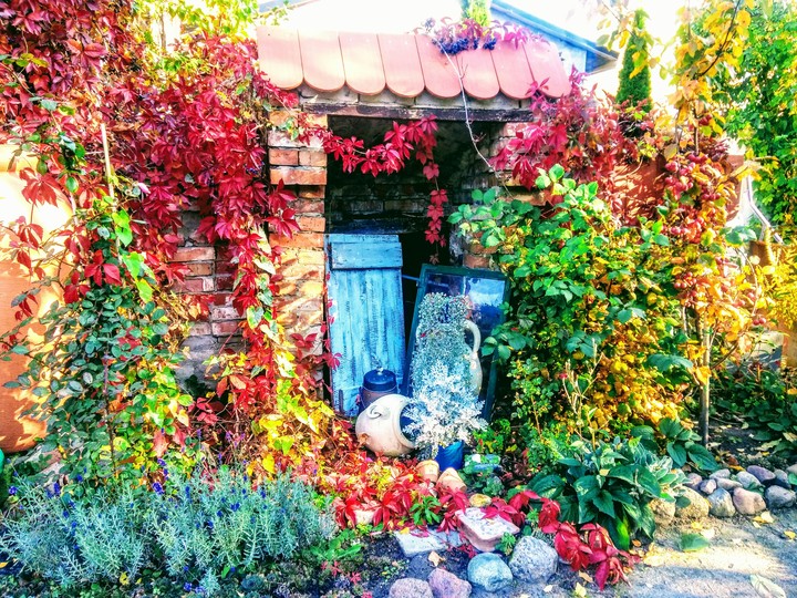 Autumn
