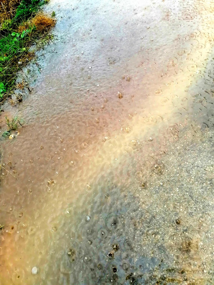 The rain