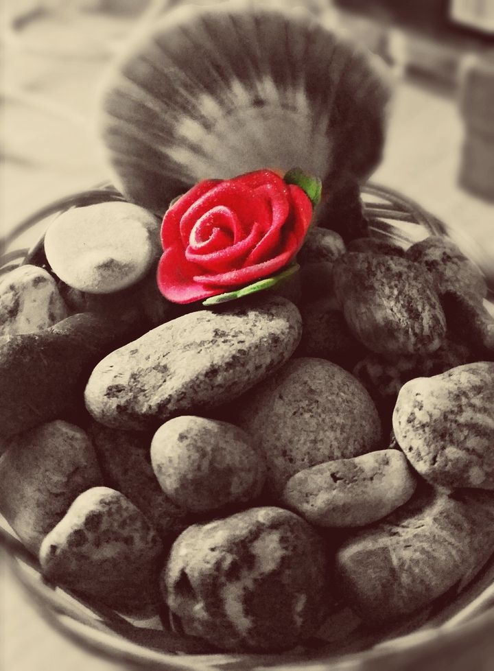 love