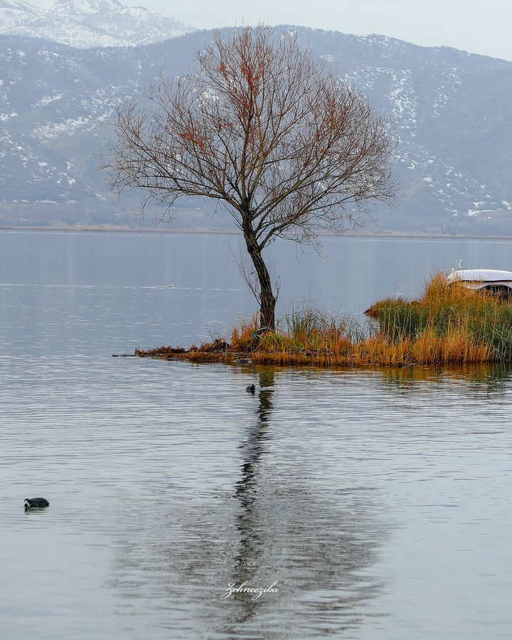 Zaribar Lake