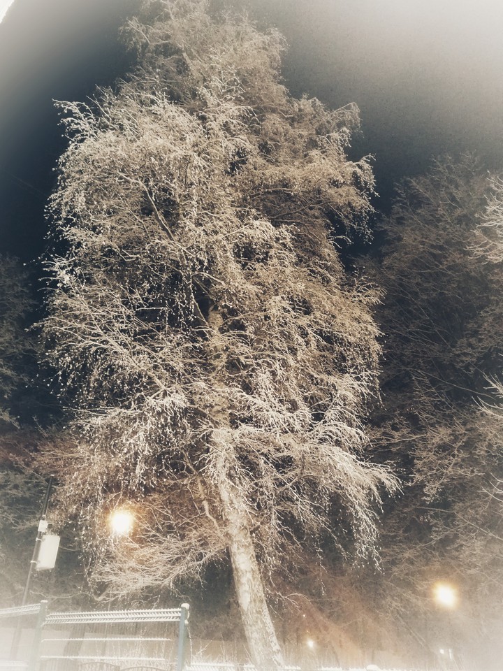 зима