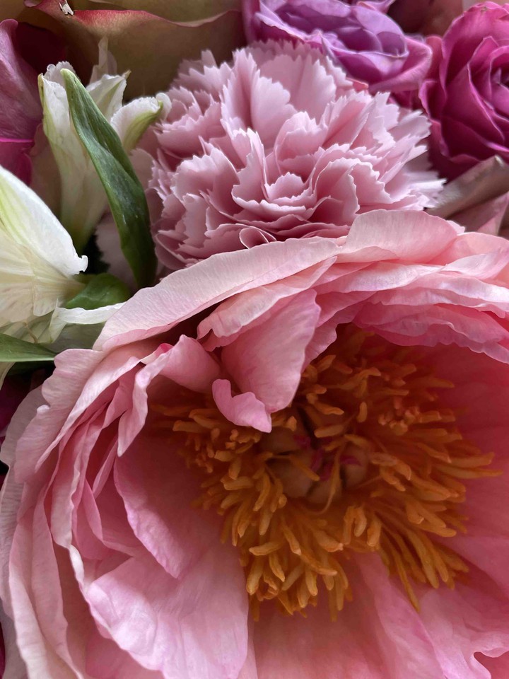 flower story