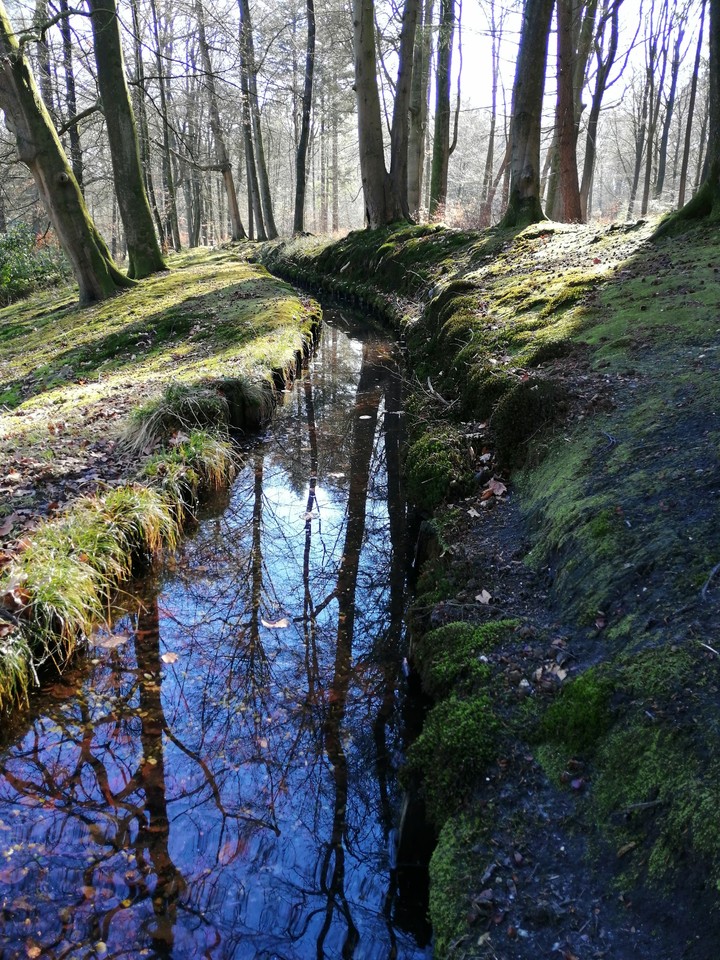 natuur