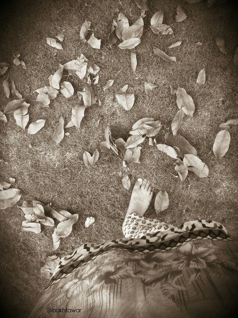 Beauty of Fall