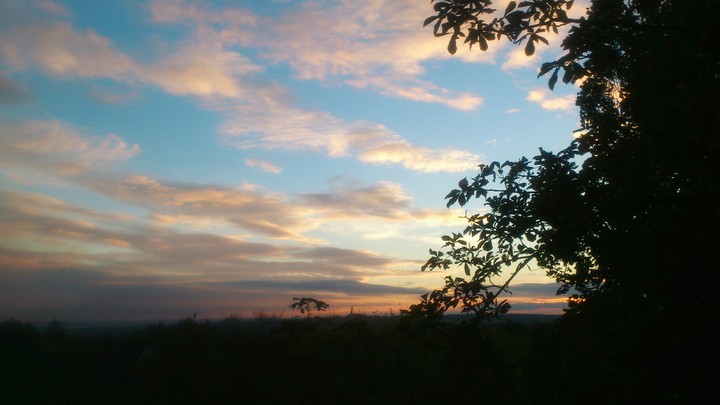 view from the window