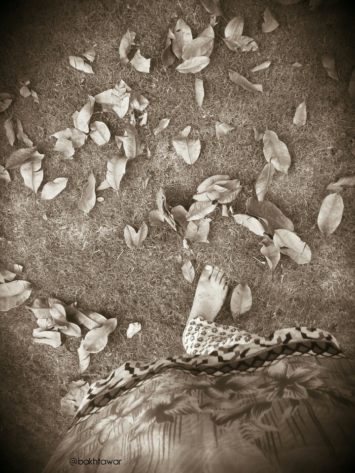 Beauty of Fall