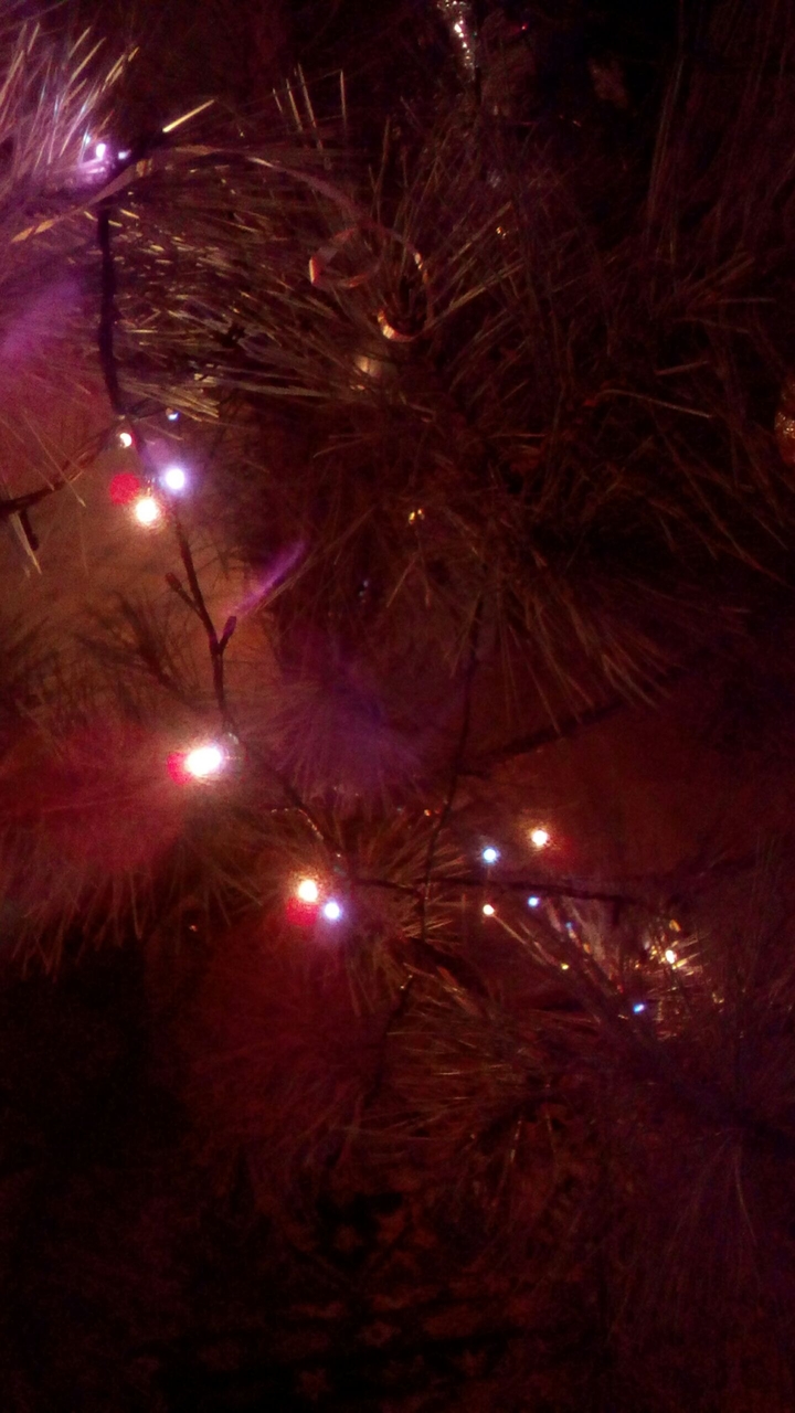 tree light