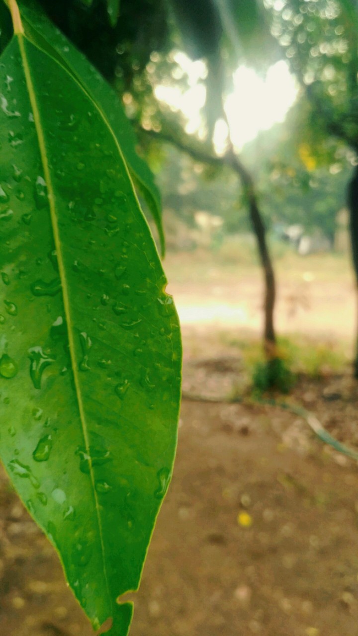 Mother Nature