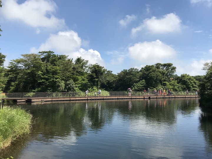 jeju eco land