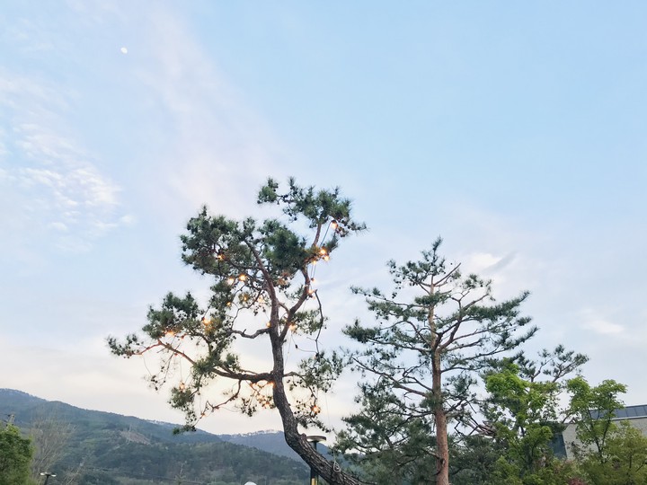 korea