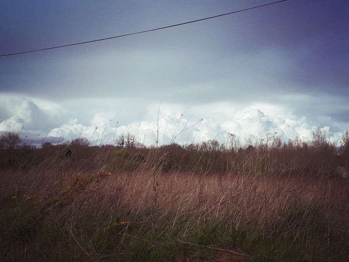 Sky