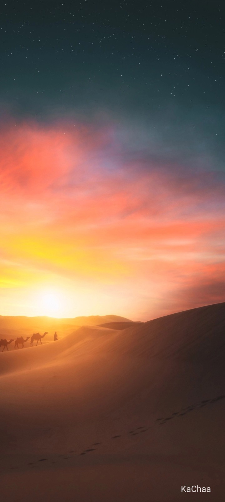 Desert