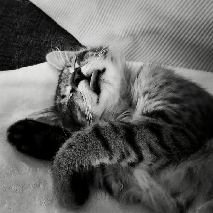 Sleeping deeply