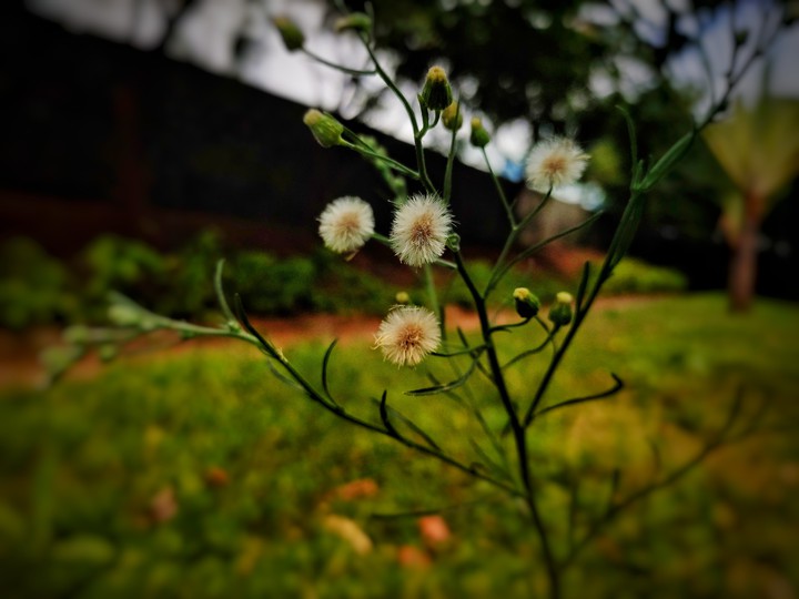 beautiful nature part 2