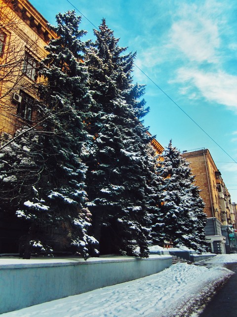 Winter Day