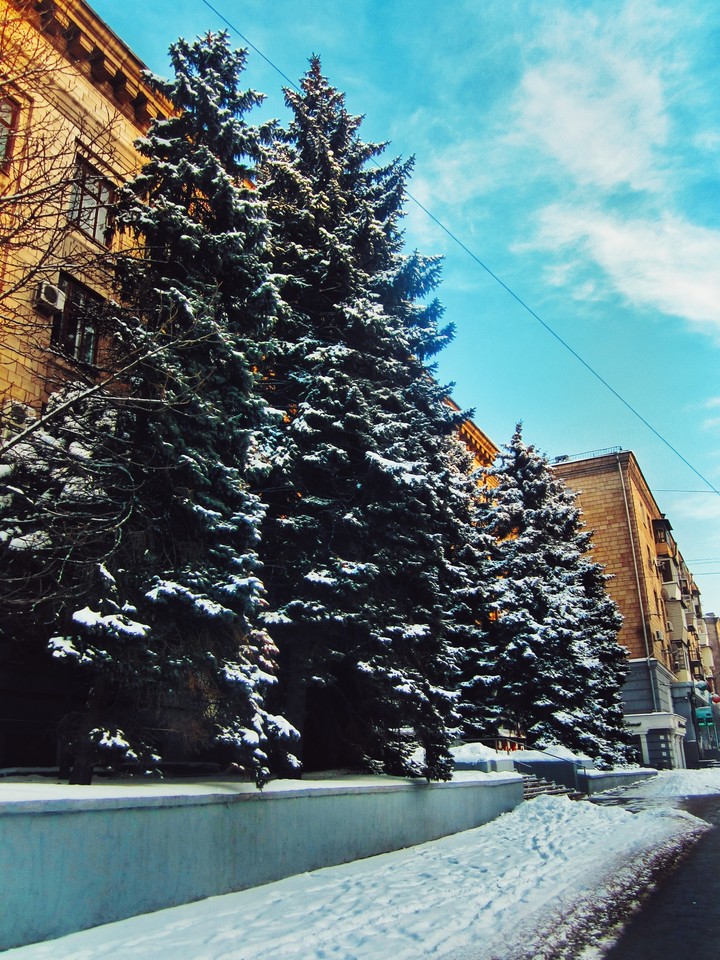 Winter Day