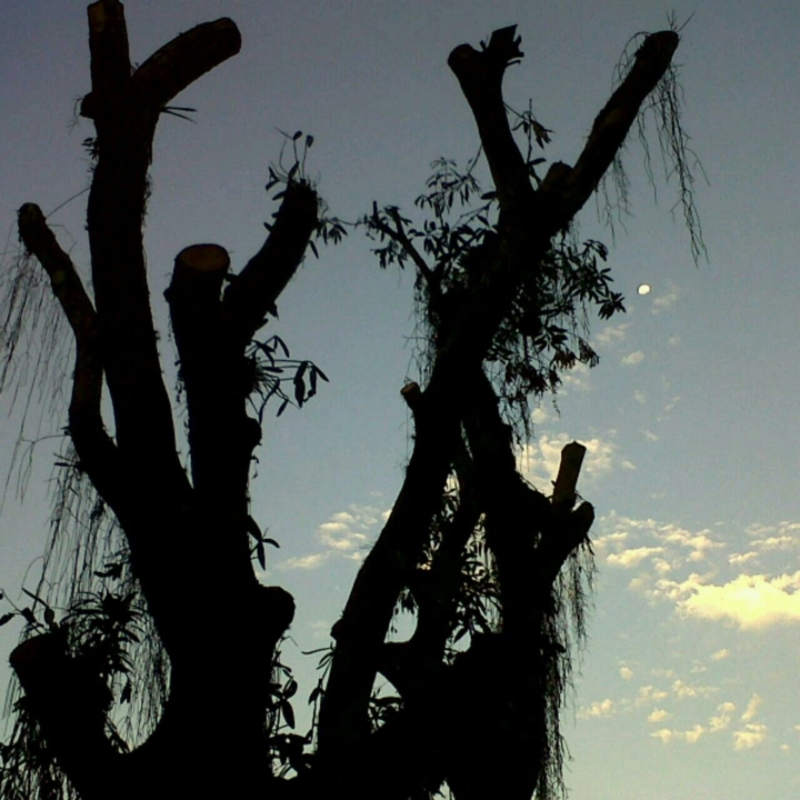Por so sol