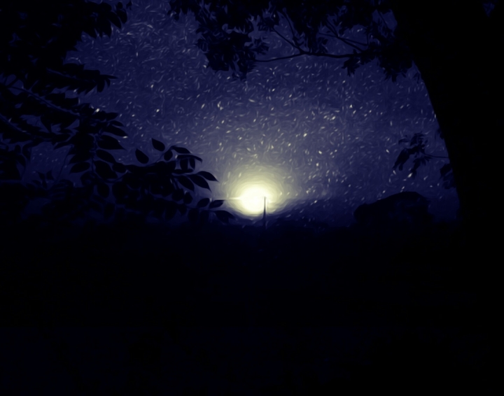 Starry Night