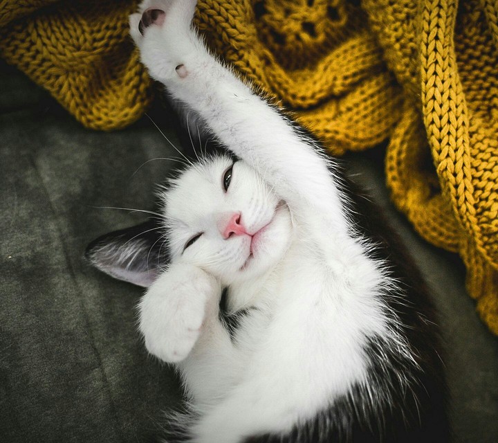 Cute