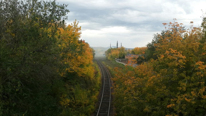 Road to fall