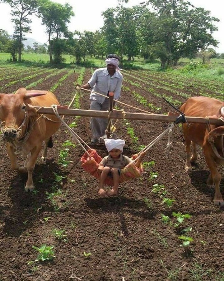kisan