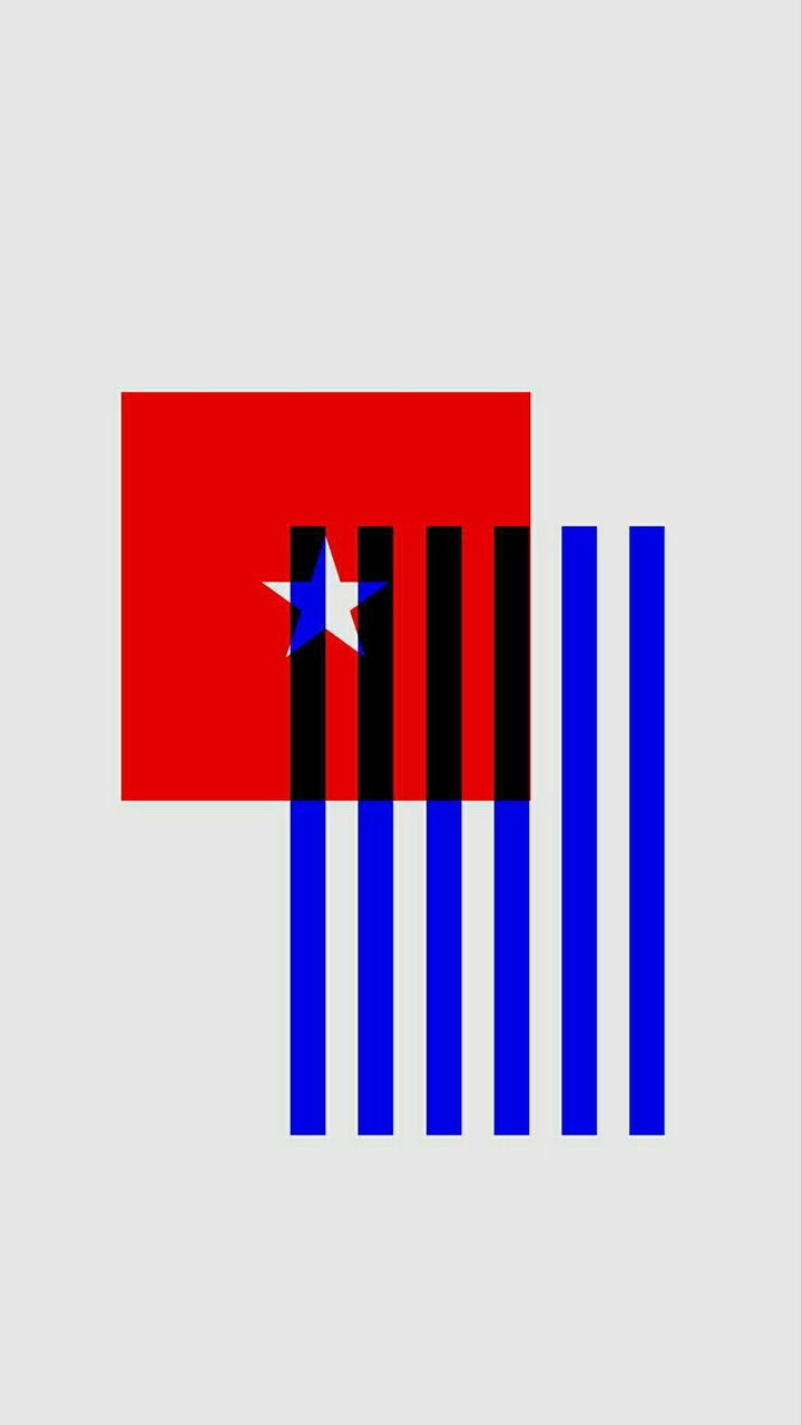 flaggy thing