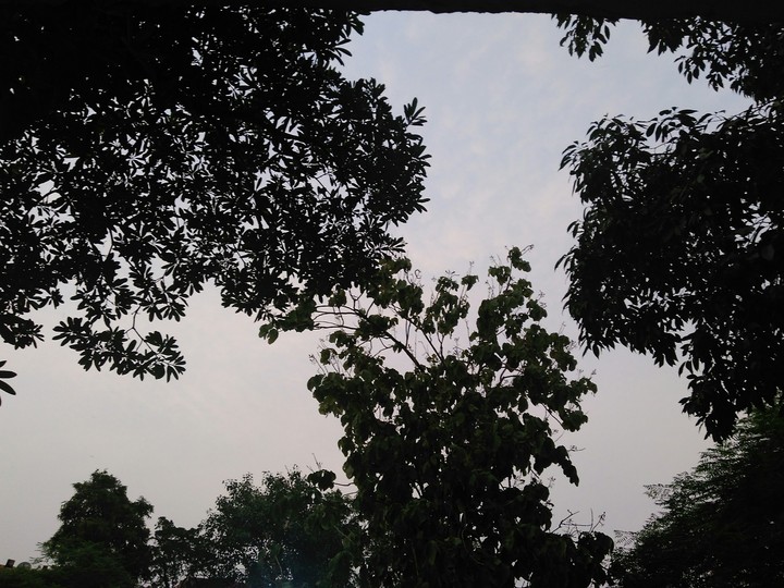evening shots
