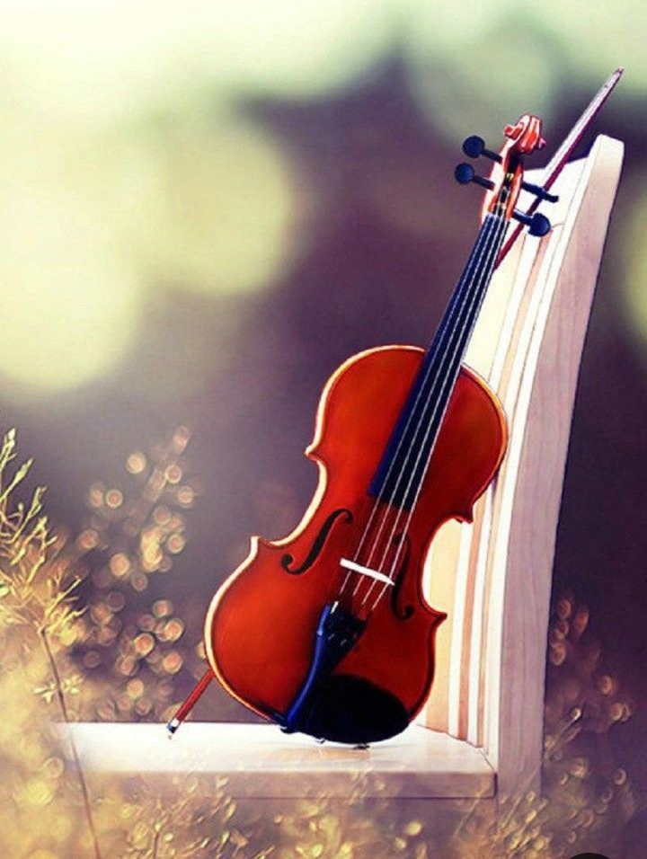 Violin