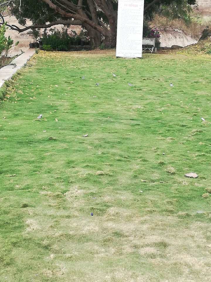 green
