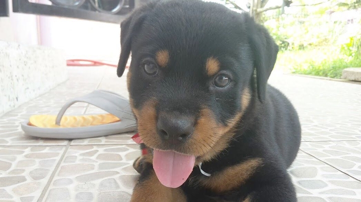 I’m cute & I know it!