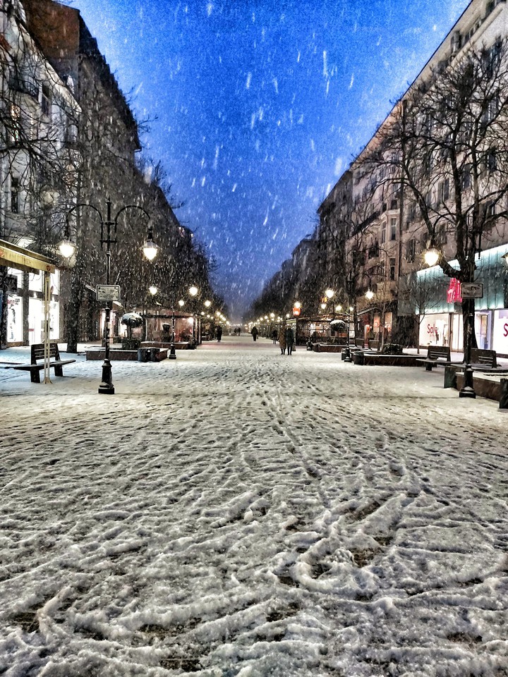 sofia